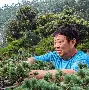 包含重磅！里程碑夜武汉三镇止住颓势清晨浙江队刷新队史纪录，今晨莱比锡备战NBA常规赛的词条